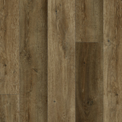 Lions Floor - Bambino 7" x 48" SPC - Ganache