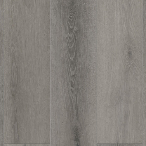 Lions Floor - Bambino 7" x 48" SPC - Monogram