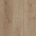 Lions Floor - Indoor Delight SPC - Peacock Flush
