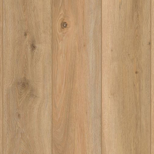 Lions Floor - Indoor Delight SPC - Shoreline Decor