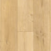 Lions Floor - Lone Star Spirit SPC - More Mesa