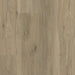 Lions Floor - Naturual Essence Plus 9" x 60" SPC - Palisade
