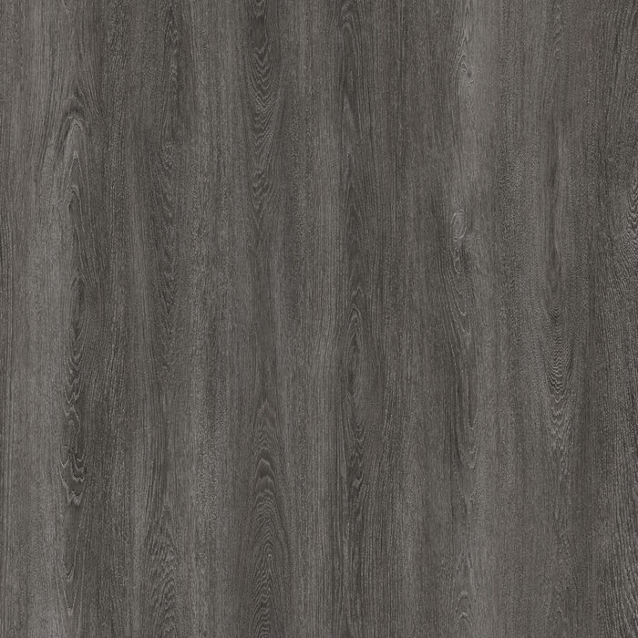 Jackson Vinyl - Community Luxury Vinyl - Loft Bark