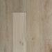 Palmetto Road - Veranda - The Charleston Collection - Magnolia