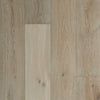 See Palmetto Road - Veranda - The Charleston Collection - Magnolia