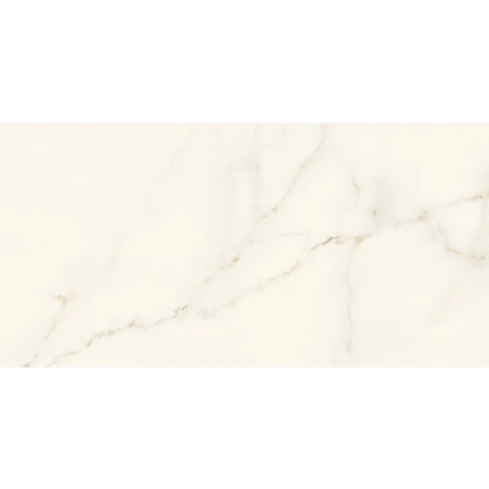 Arizona Tile - Marvel 24" x 48" Polished Rectified Porcelain Tile - Calacatta Apuano