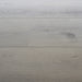 The Innova Collection - 9 in. x 60 in. SPC Luxury Vinyl - Silver Oak Close View