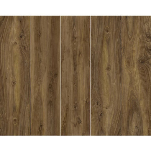 Arizona Tile - More Wood Series - Matte 8
