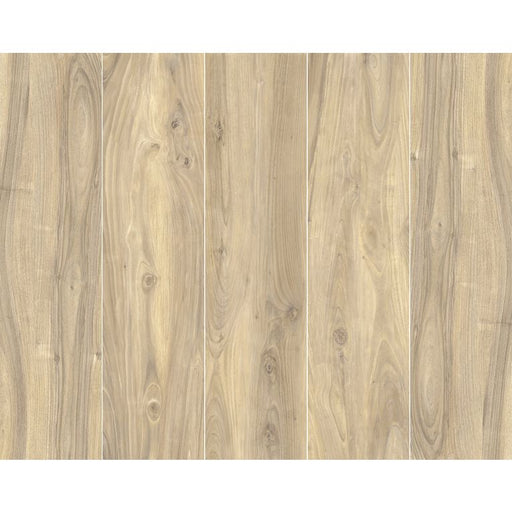 Arizona Tile - More Wood Series - Matte 8