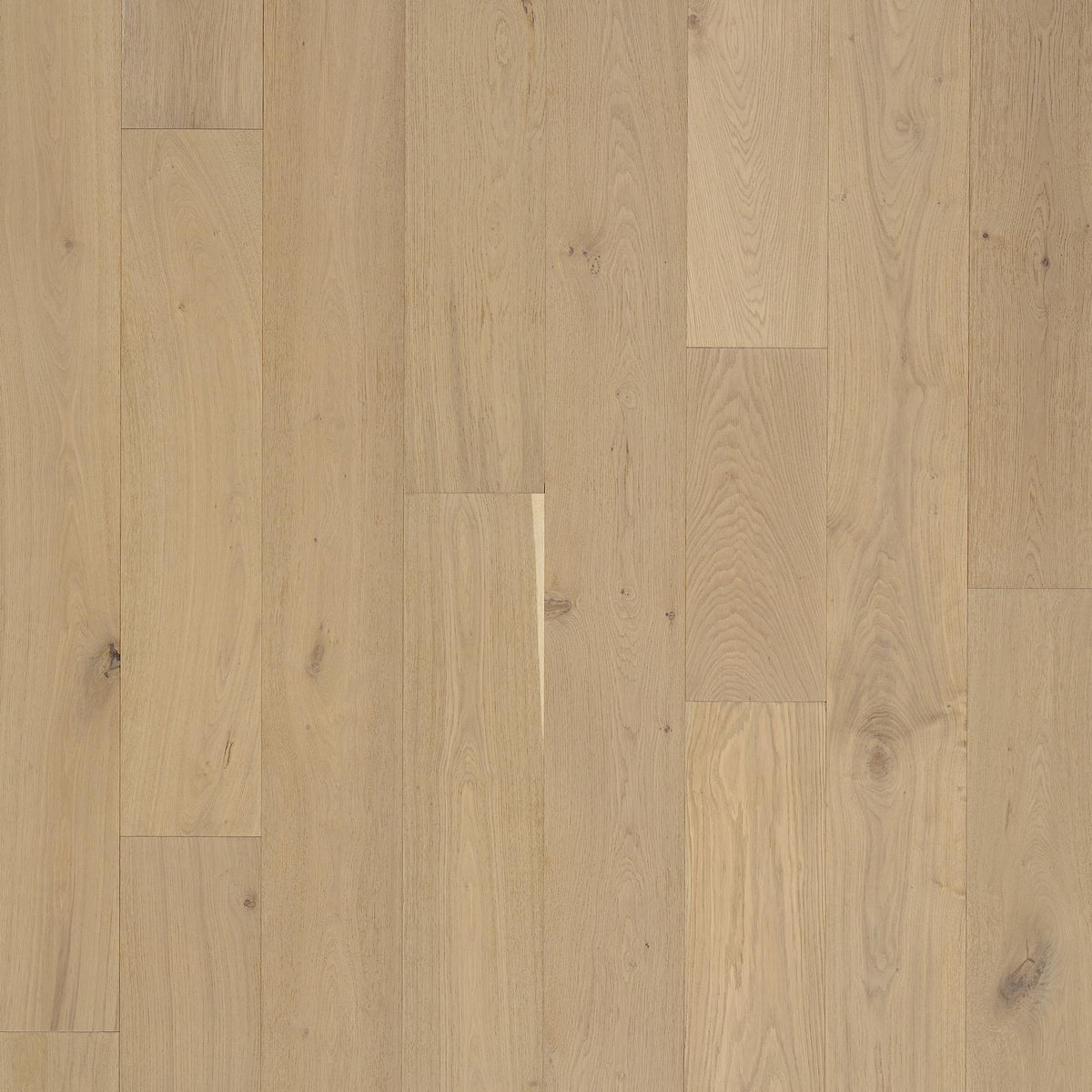 Tesoro - PremierLux - 9.5 in. x 86 in. Luxury Engineered Planks - Cheerful Oak