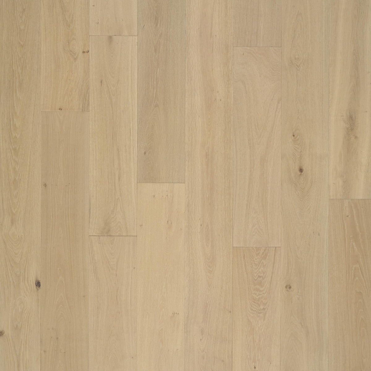 Tesoro - PremierLux - 9.5 in. x 86 in. Luxury Engineered Planks - Delightful Oak