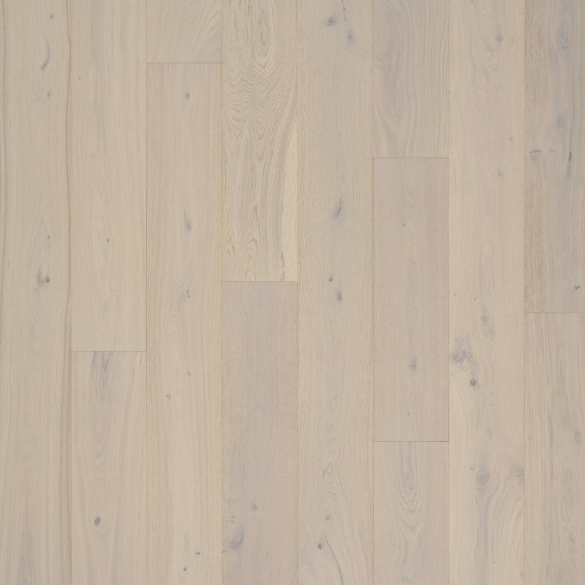 Tesoro - PremierLux - 9.5 in. x 86 in. Luxury Engineered Planks - Elated Oak