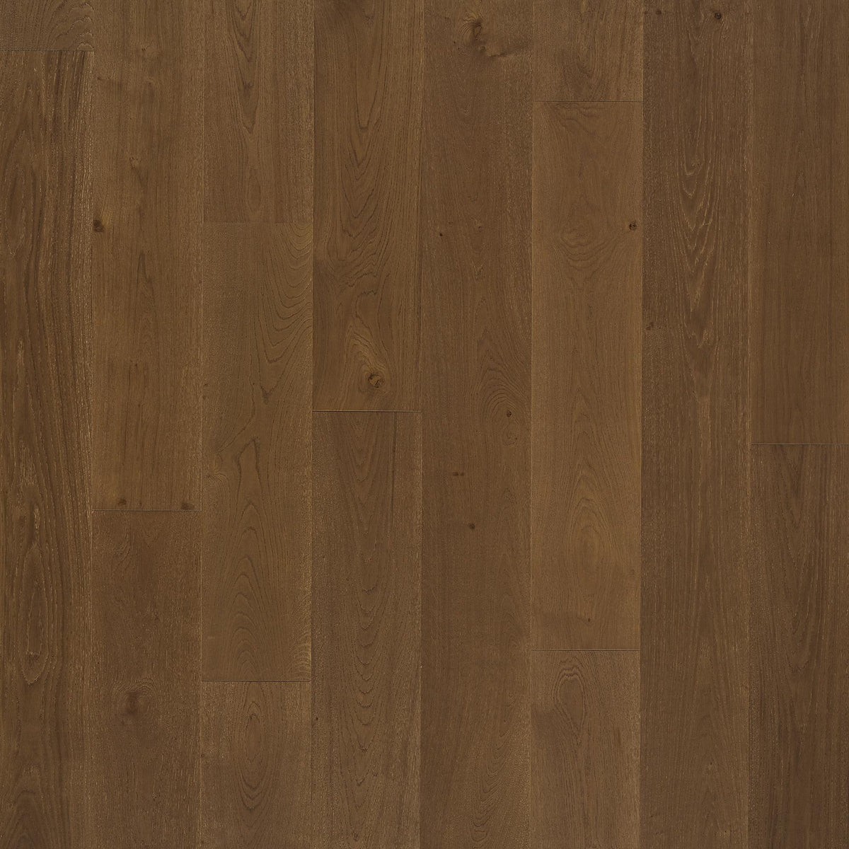 Tesoro - PremierLux - 9.5 in. x 86 in. Luxury Engineered Planks - Lavish Oak