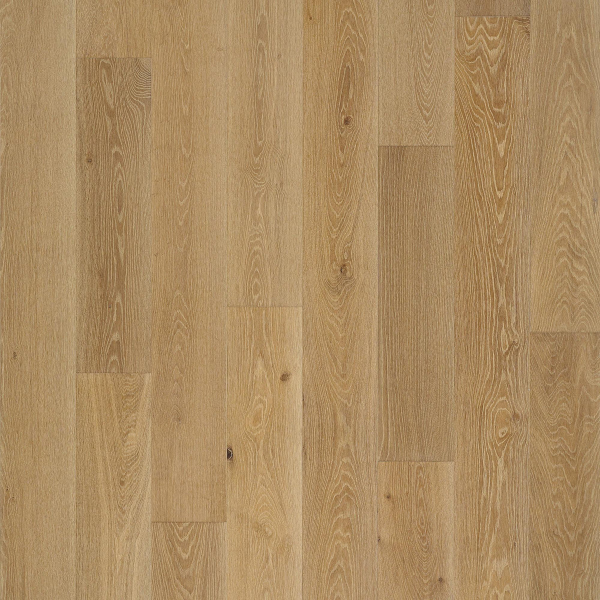 Tesoro - PremierLux - 9.5 in. x 86 in. Luxury Engineered Planks - Ageless Oak