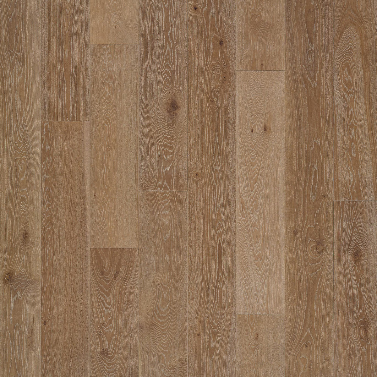 Tesoro - PremierLux - 9.5 in. x 86 in. Luxury Engineered Planks - Splendid Oak