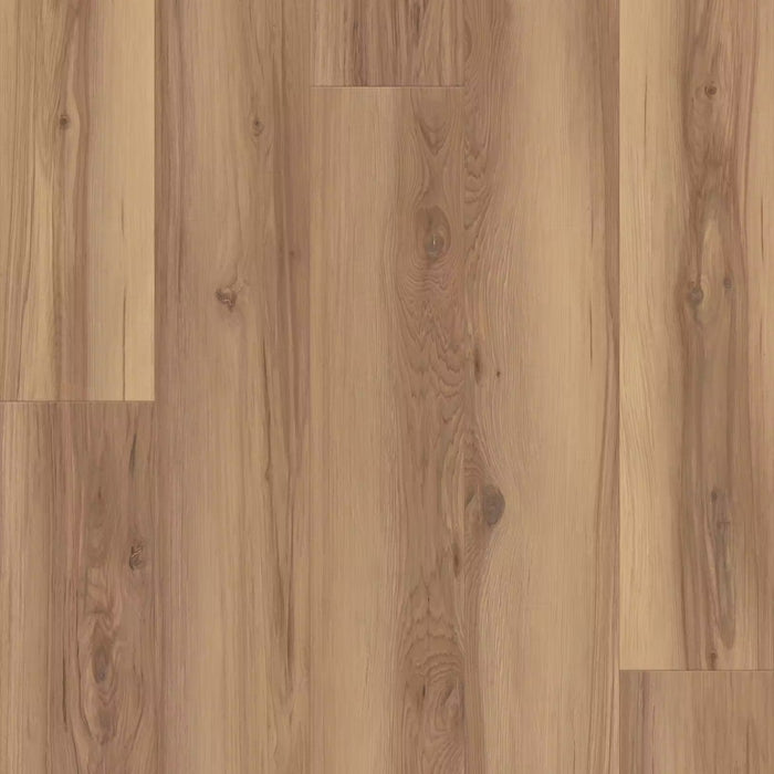 Happy Feet - Black Label Collection - Dynamic Fit - Natural Hickory HF1505