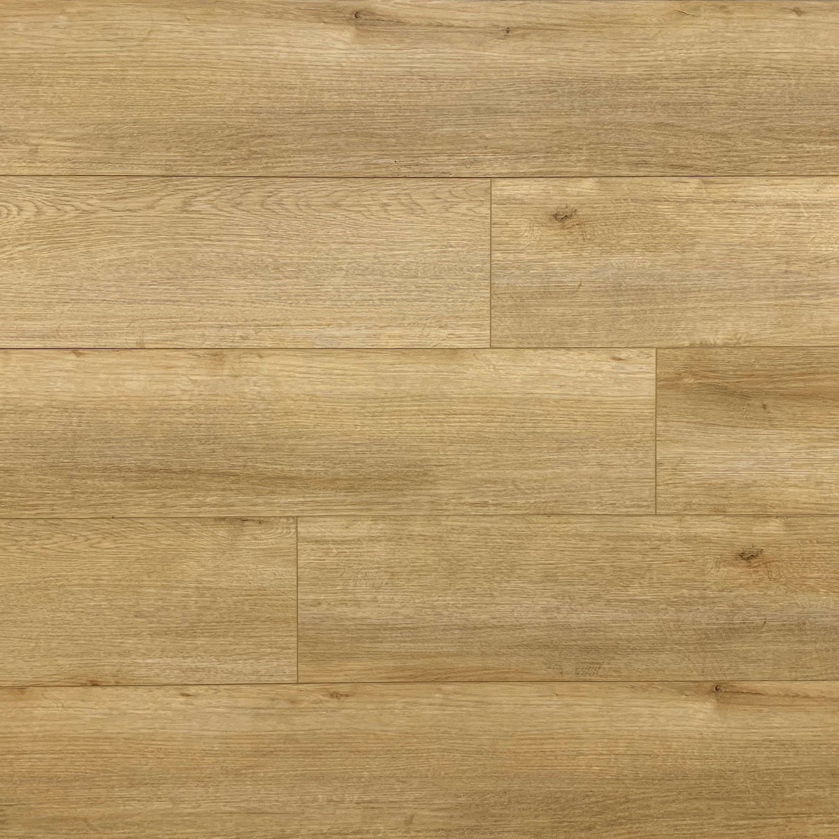 NexxaCore Luxury Vinyl Plank - The Cosmos - Apollo — Floorzz