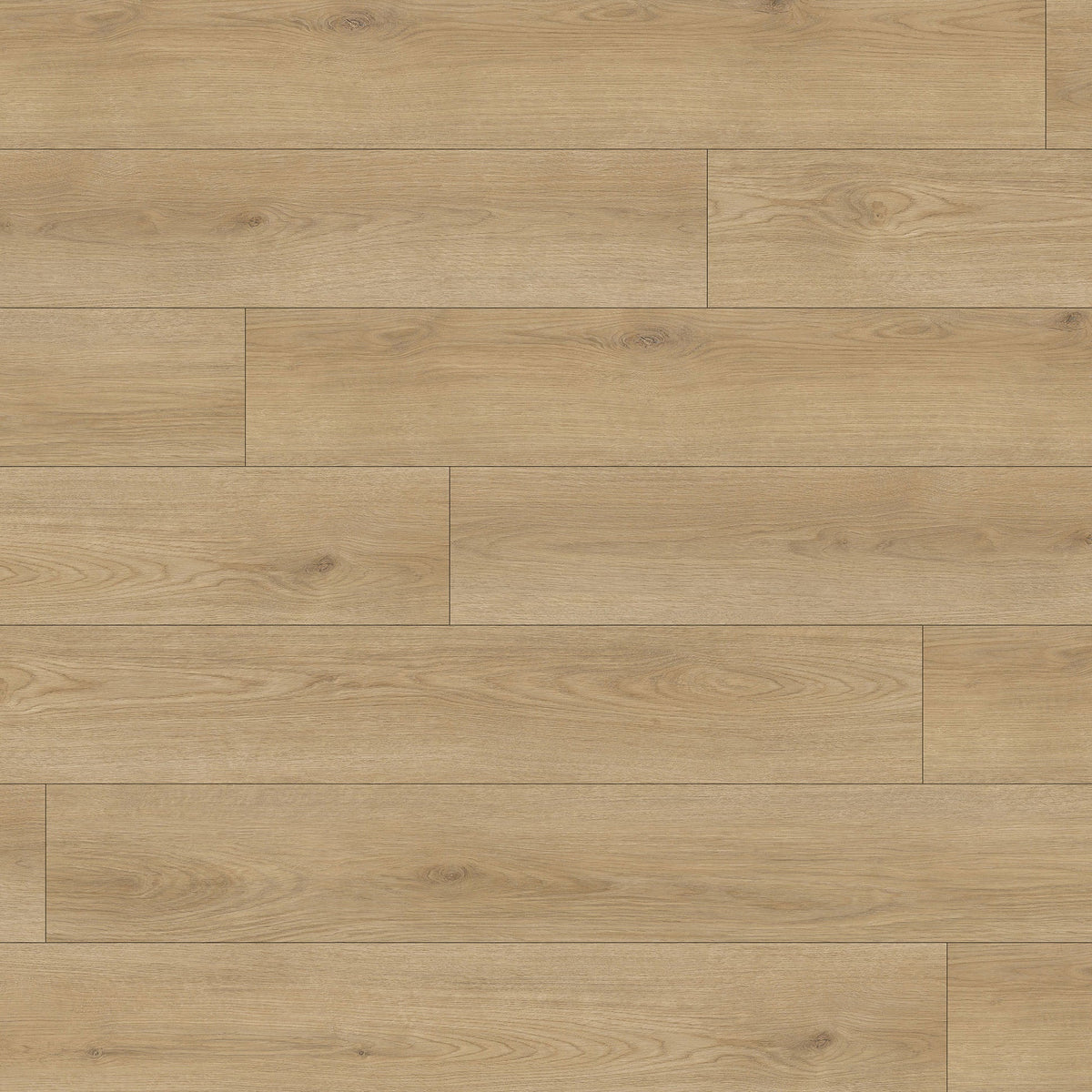 ノエ NexxaCore Luxury Vinyl Plank - The Cosmos - Celestial — Floorzz