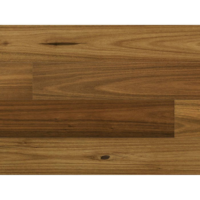 Norwood Hill - Carriage Collection - 7.5 in. - Hardwood - Regal