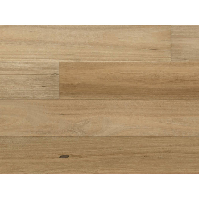 Norwood Hill - Carriage Collection - 7.5 in. - Hardwood - Imperial