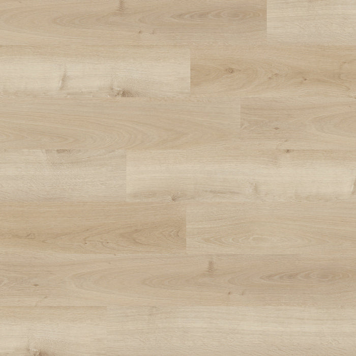 NovaFloor - Dansbee HDC Collection - French Oak Pearl