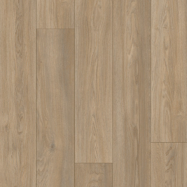 Palmetto Road - Trailblazer Laminate - Teton Crest