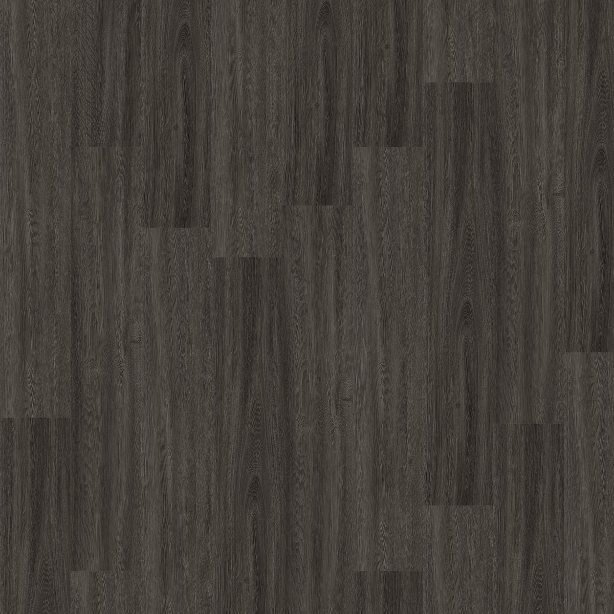 Earthwerks - Pavilion 6&quot; x 36&quot; Engineered Hardwood - Regency