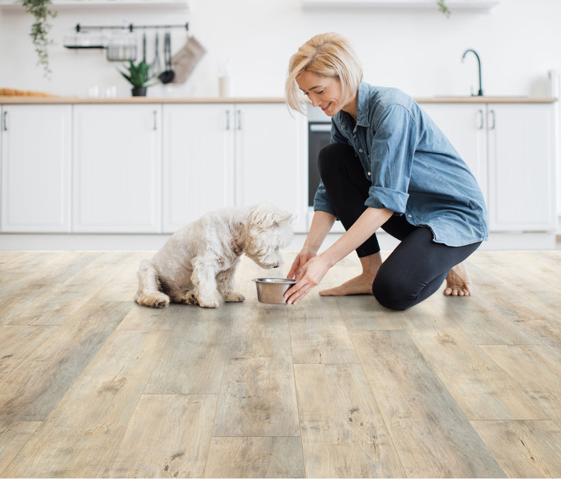 Floors 2000 - Provincial Collection 8 in. x 48 in. Laminate Plank - Celestial floor installation
