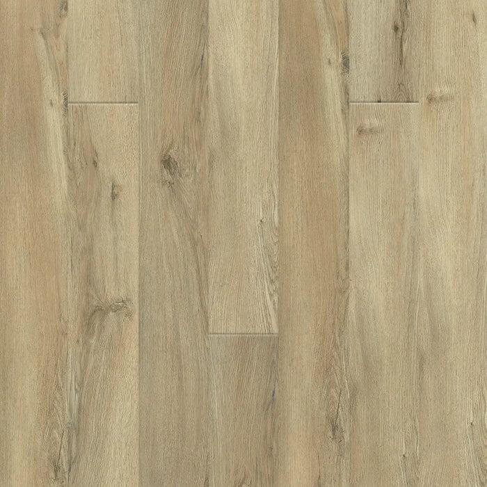 Engineered Floors - Triumph Collection - Lifestyle - 6 in. x 48 in