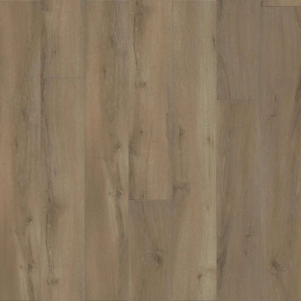 R013_3004_1200x1200.webp?v=