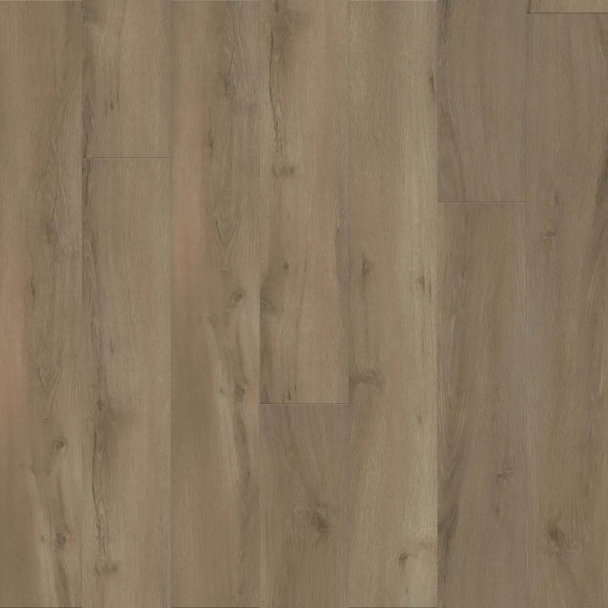 Engineered Floors - Timeless Beauty - 7 in. x 48 in. - Gentry