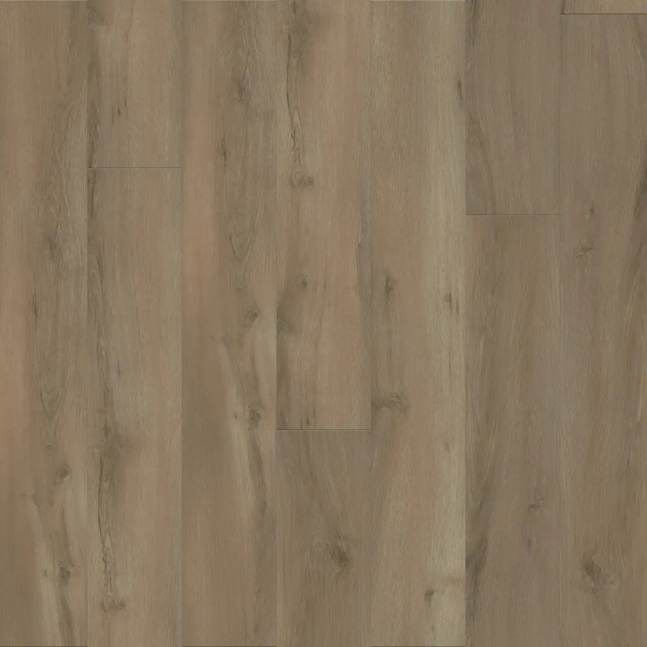 Engineered Floors - Timeless Beauty - 7 in. x 48 in. - Gentry
