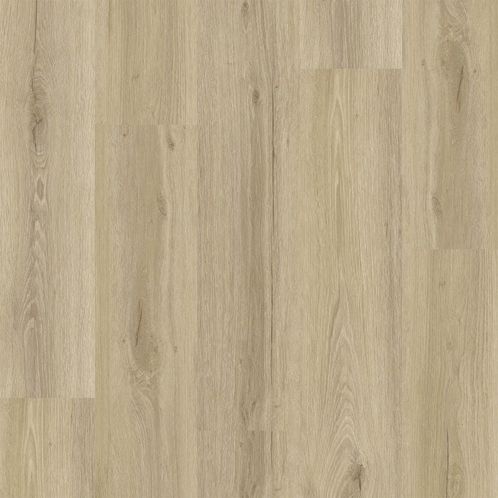 Engineered Floors - Legendary - 7 in. x 48 in. - Luxury Vinyl - Orthodox