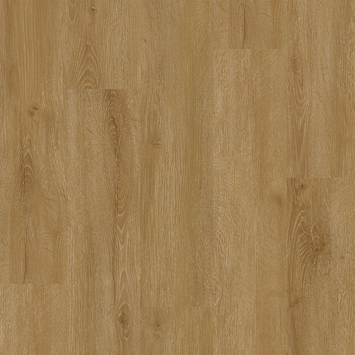 Engineered Floors - Legendary - 7 in. x 48 in. - Luxury Vinyl - Visionary