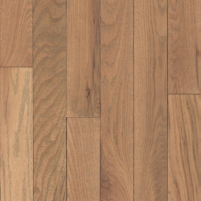 Autograph - Rooted Style Solid Oak Hardwood - Biscotti