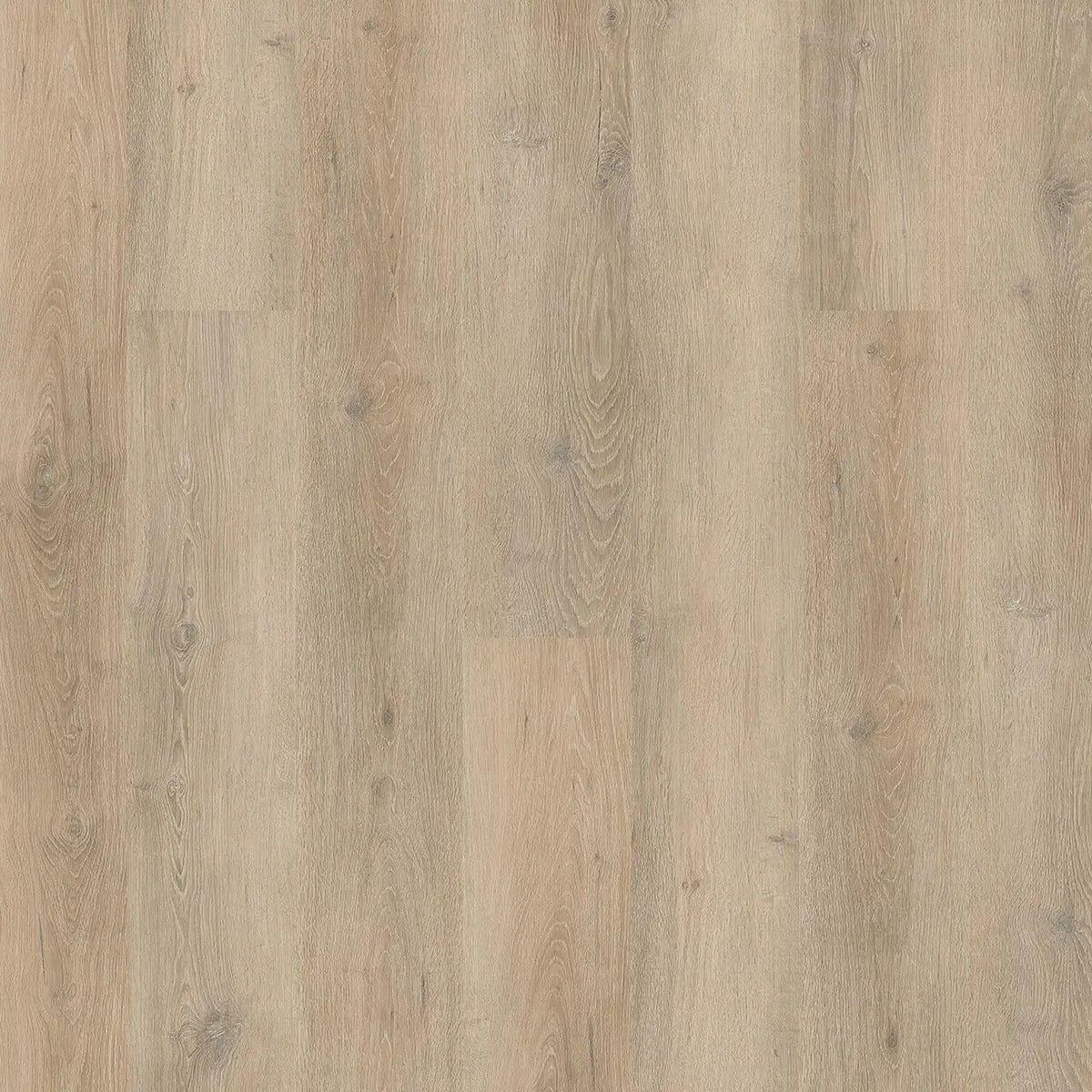 Engineered Floors - Triumph Collection - Lifestyle - 6 in. x 48 in. - Clearwater