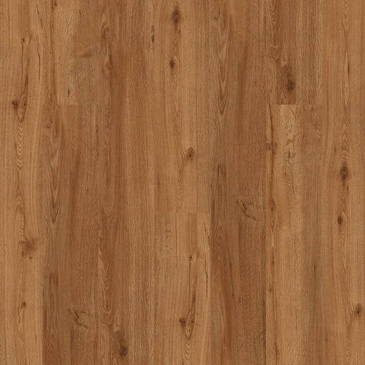 Engineered Floors - Triumph Collection - New Standard Plus - 7 in