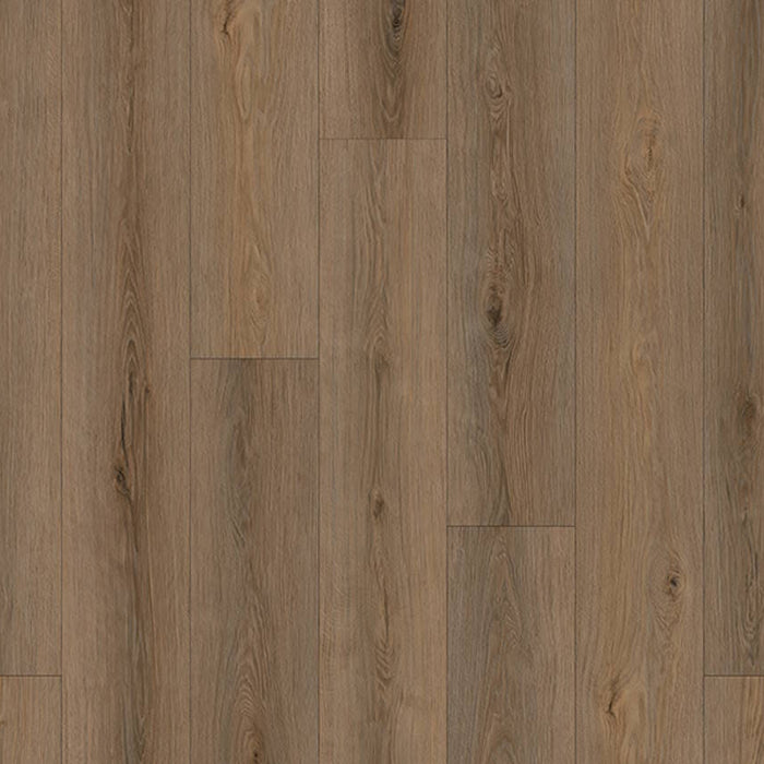 Norwood Hill - Rightwood XL Collection Laminate - Beach Haven