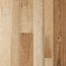 Palmetto Road - Riviera Collection - Menton