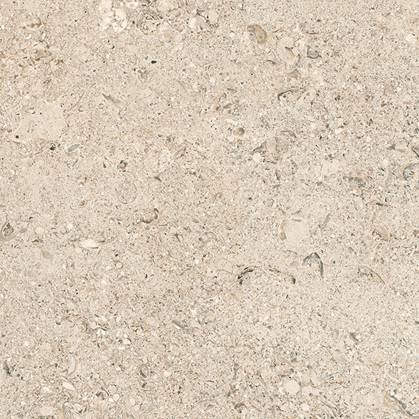 Tesoro - Shellstone Series - 24 in. x 24 in. Rectified Porcelain Tile - Amber