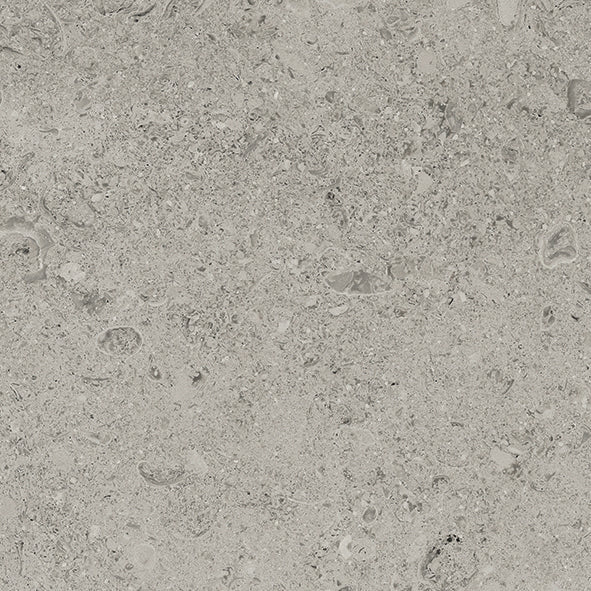 Tesoro - Shellstone Series - 24 in. x 24 in. Rectified Porcelain Tile - Grey