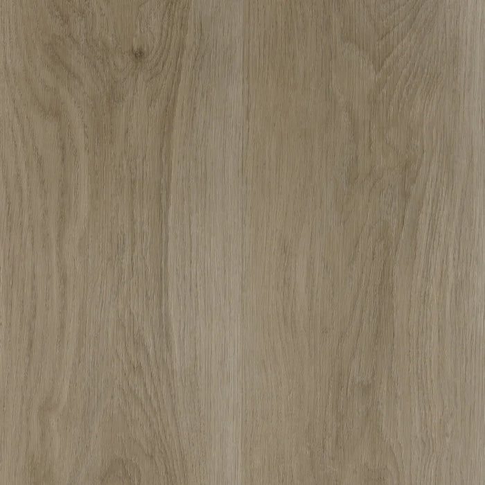 Prolex Flooring - Century - 9 in. x 60 in. - Reflections