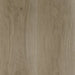 Prolex Flooring - Century - 9 in. x 60 in. - Reflections