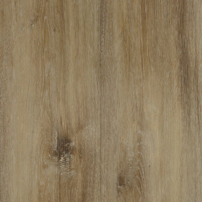 Prolex Flooring - Century - 9 in. x 60 in. - Vila
