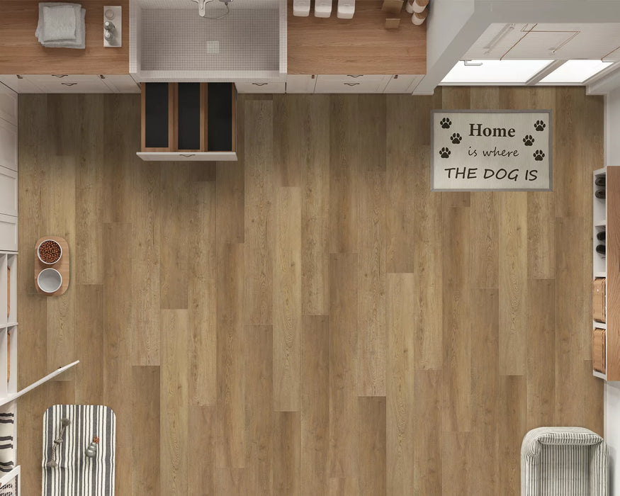LW Flooring - Odyssey Laminate - Serendipity Top View