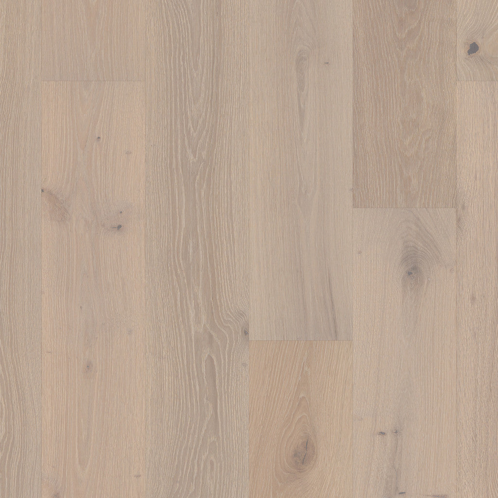 Shaw - Castlewood Oak Hardwood - 01075 Knight