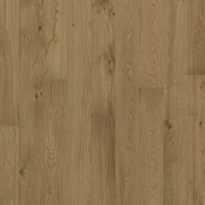 Jackson Hardwood - Kingston Collection - Sheffield