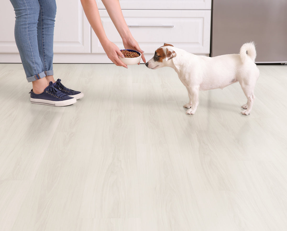 Floors 2000 - Studio Grove Collection 8 in. x 60 in. Laminate Plank - White Glove floor installation