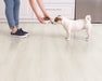 Floors 2000 - Studio Grove Collection 8 in. x 60 in. Laminate Plank - White Glove floor installation