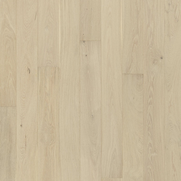 Jackson Hardwood - Kingston Collection - Sussex